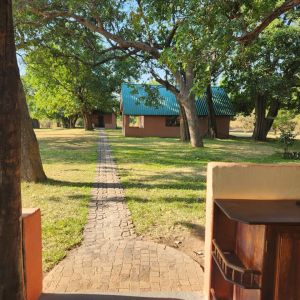 Hunt Zambia Induku 12