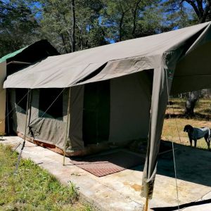Hunt Zambia Induku 2