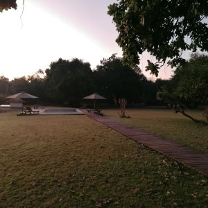 Hunt Zambia Induku 4