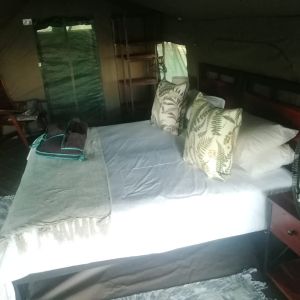 Hunt Zambia Induku 5