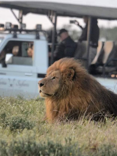 Scotia Safaris