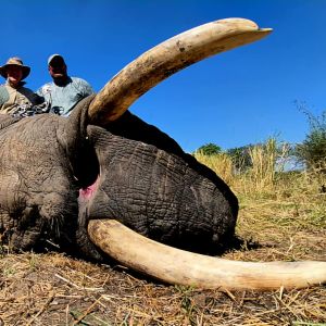 Hunting Zambia