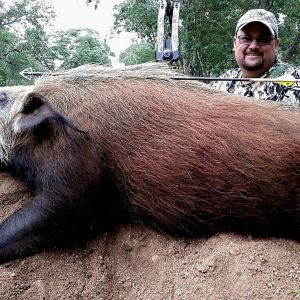 Hunting Zambia