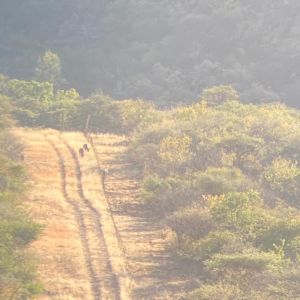 Namibia Hunting Safari