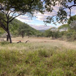 Namibia Hunting Safari