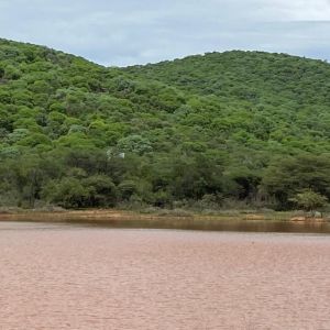 Namibia Hunting Safari