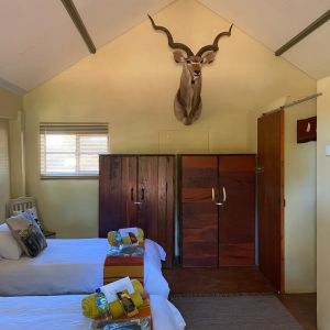 Namibia Hunting Safari