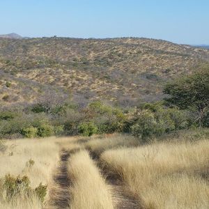 Namibia Hunting Safari
