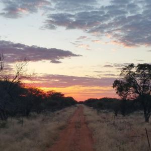 Namibia Hunting Safari